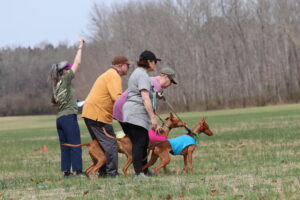 IMG_0347
